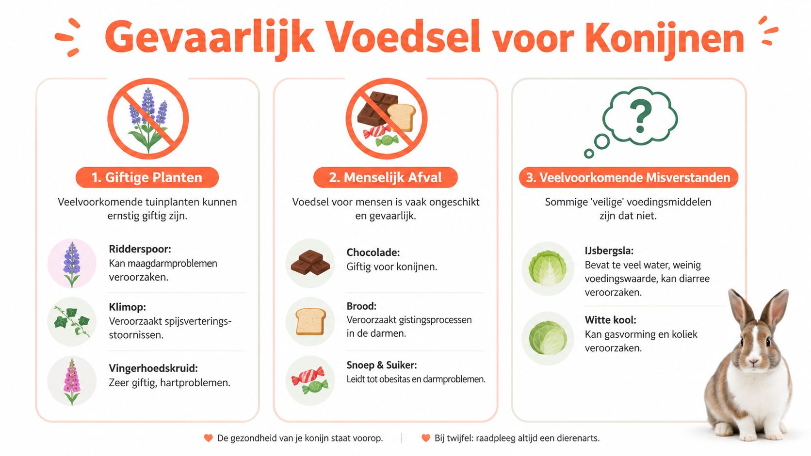Een informatieve infographic in het Nederlands die waarschuwt voor gevaarlijk en giftig voedsel voor konijnen.