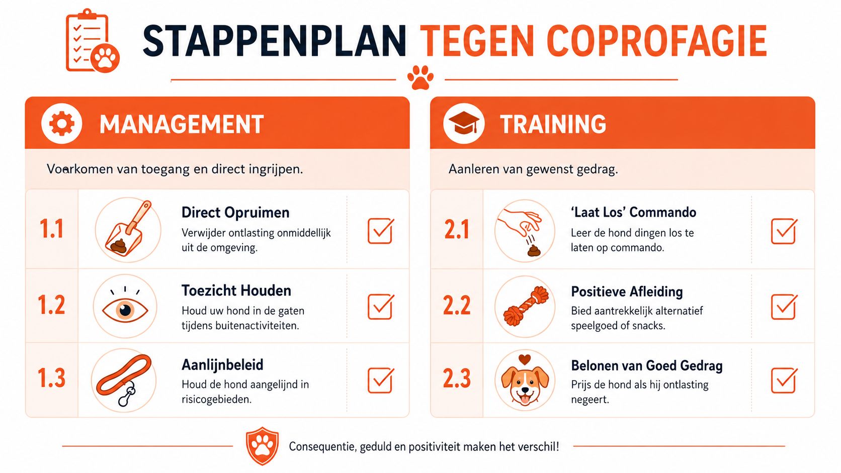 Stappenplan met management- en trainingstips voor hondeneigenaren om het eten van ontlasting bij honden effectief te voorkomen.