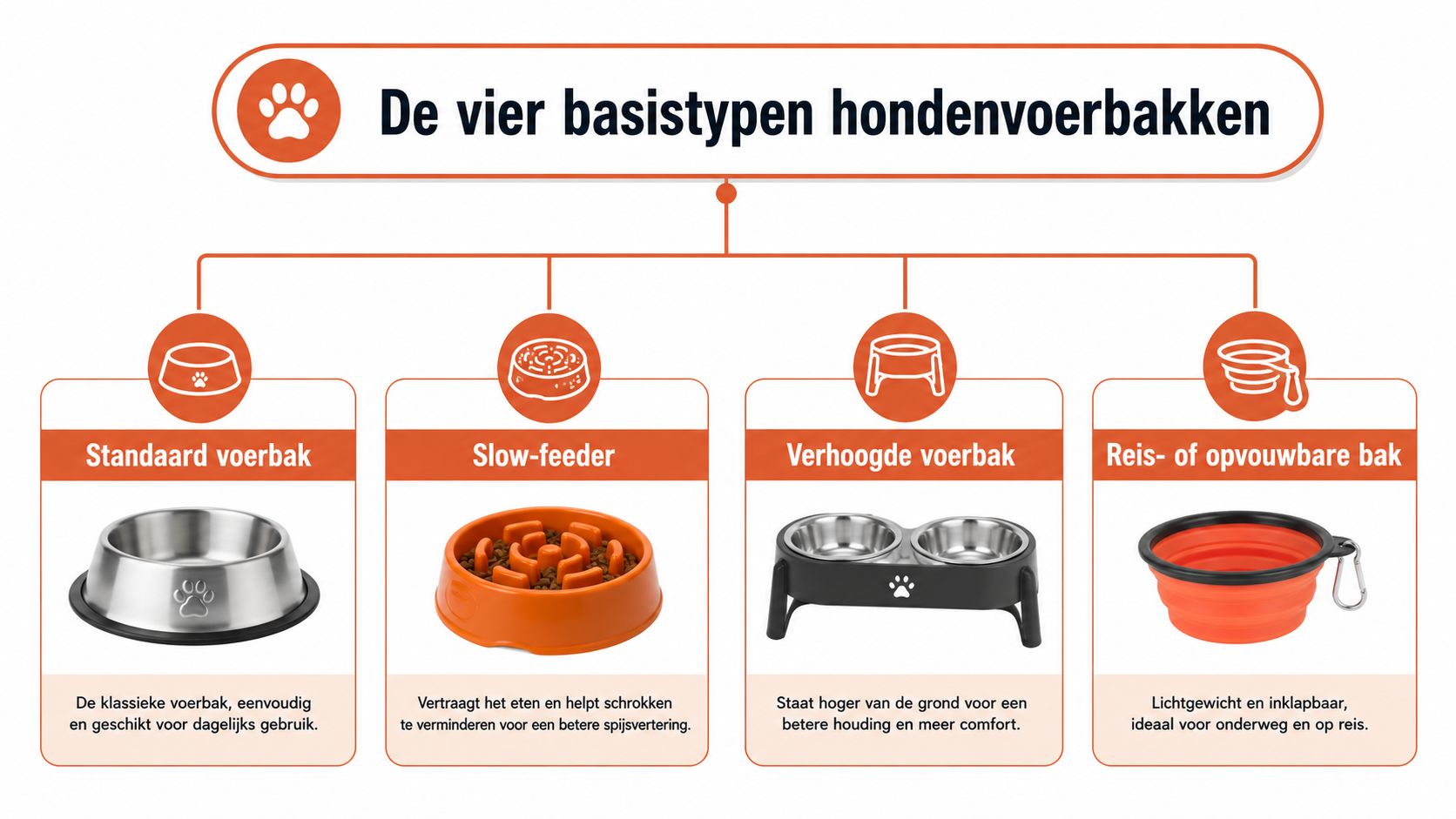 Een overzichtskaart met de vier basistypen hondenvoerbakken: standaard, slow-feeder, verhoogd en opvouwbaar voor op reis.