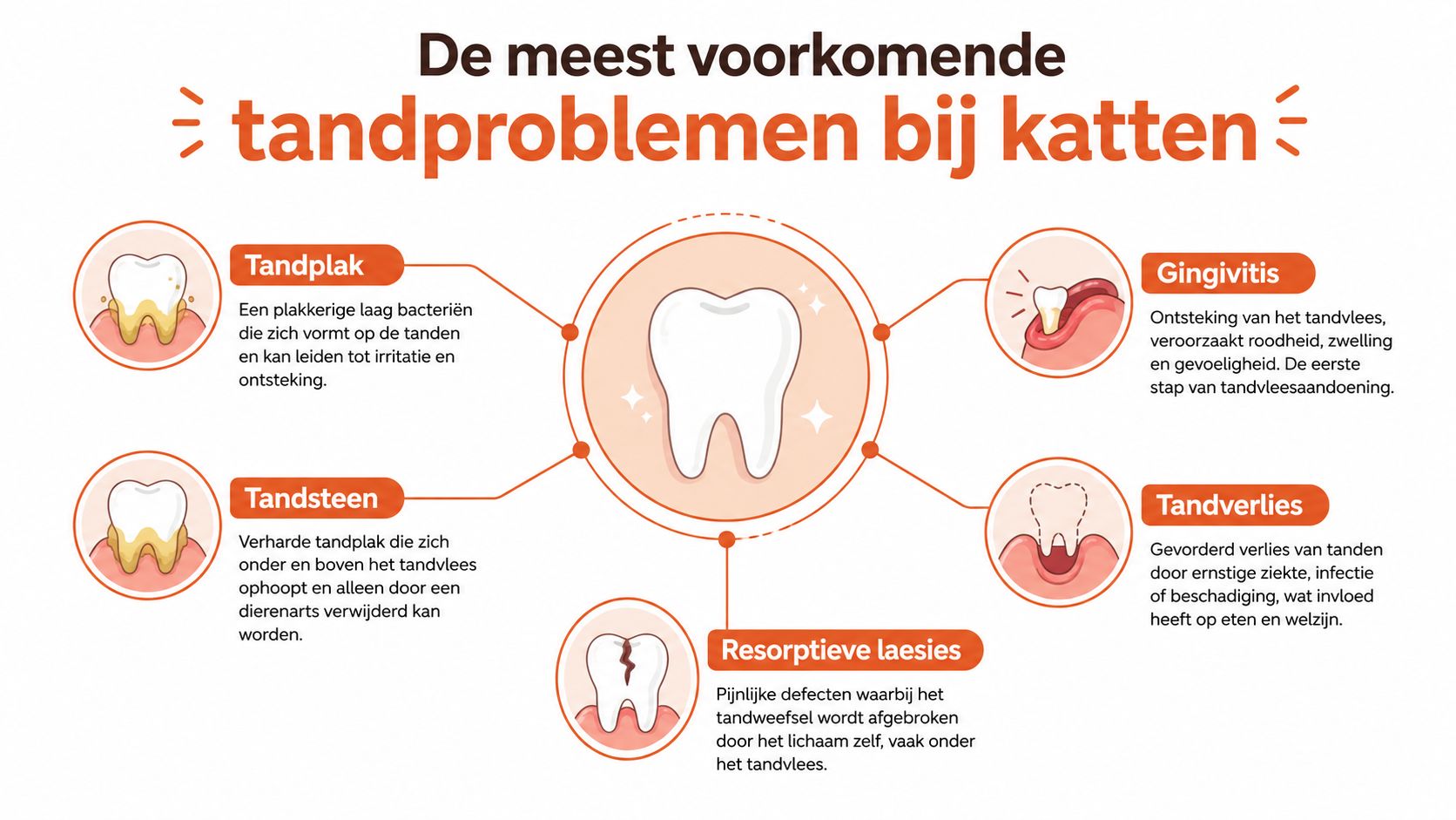 Een infographic met de meest voorkomende gebitsproblemen bij katten, zoals tandplak, tandsteen, gingivitis, tandverlies en resorptieve laesies.