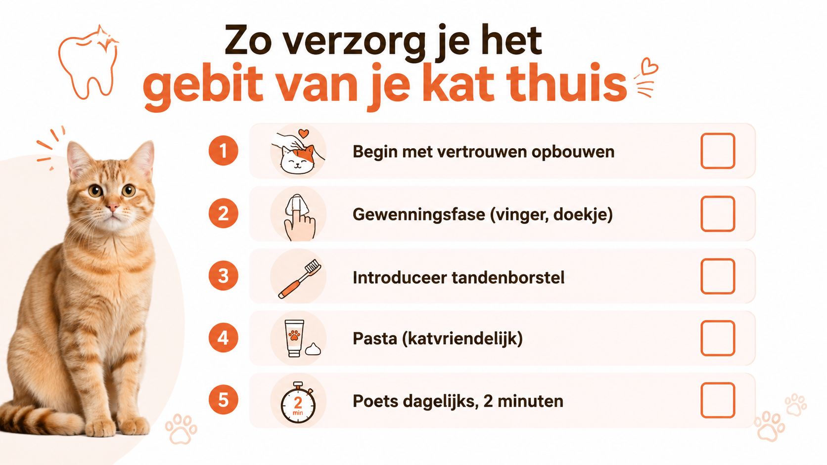Een stappenplan met vijf punten voor het verzorgen van het gebit van je kat thuis.