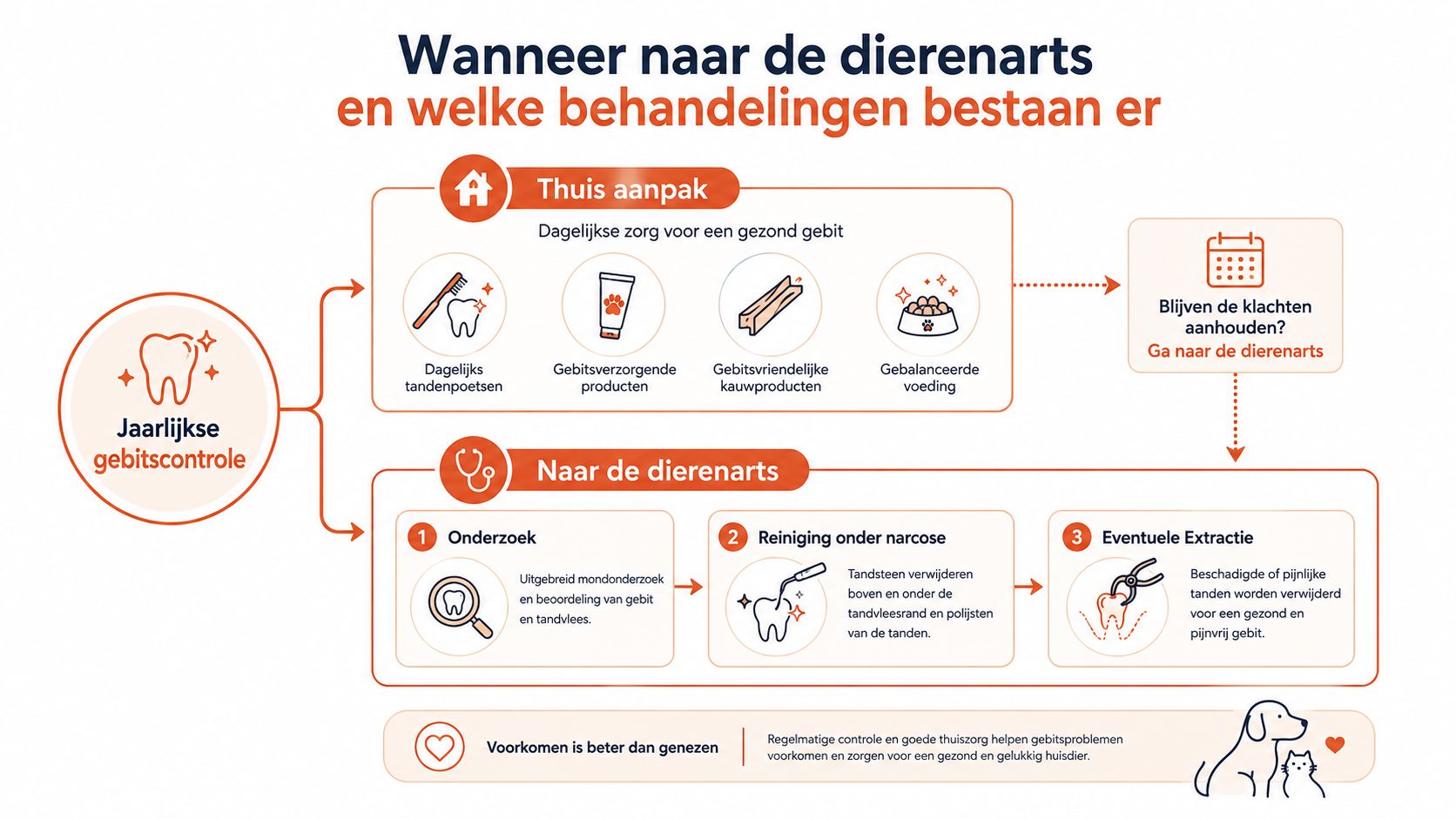 Een infographic over de jaarlijkse gebitscontrole, thuisverzorging en veterinaire behandelingen voor het gebit van uw huisdier.