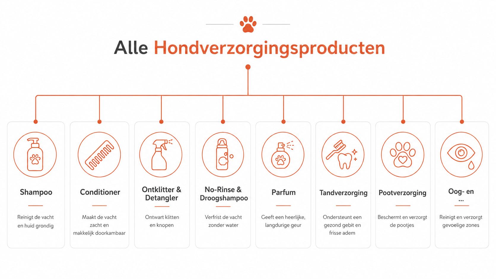 Een overzicht van diverse hondverzorgingsproducten met pictogrammen voor shampoo, conditioner, ontklitter, droogshampoo, parfum, tandverzorging, pootverzorging en oogverzorging.