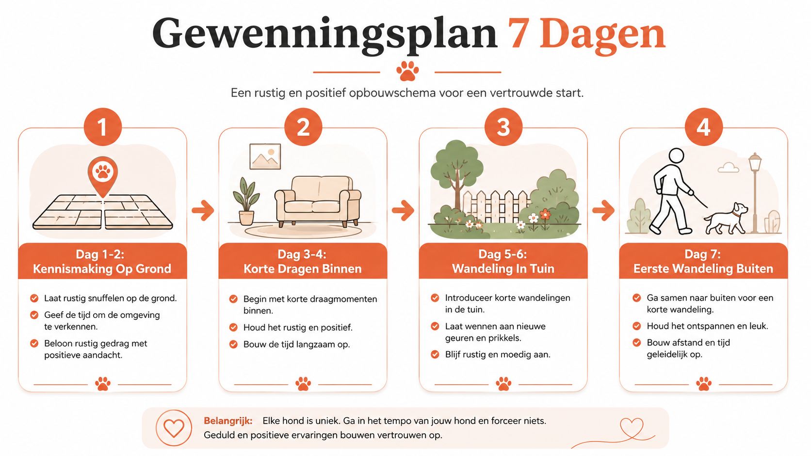 Een overzichtelijk stappenplan van 7 dagen voor het veilig laten wennen van je hond aan een draagzak.