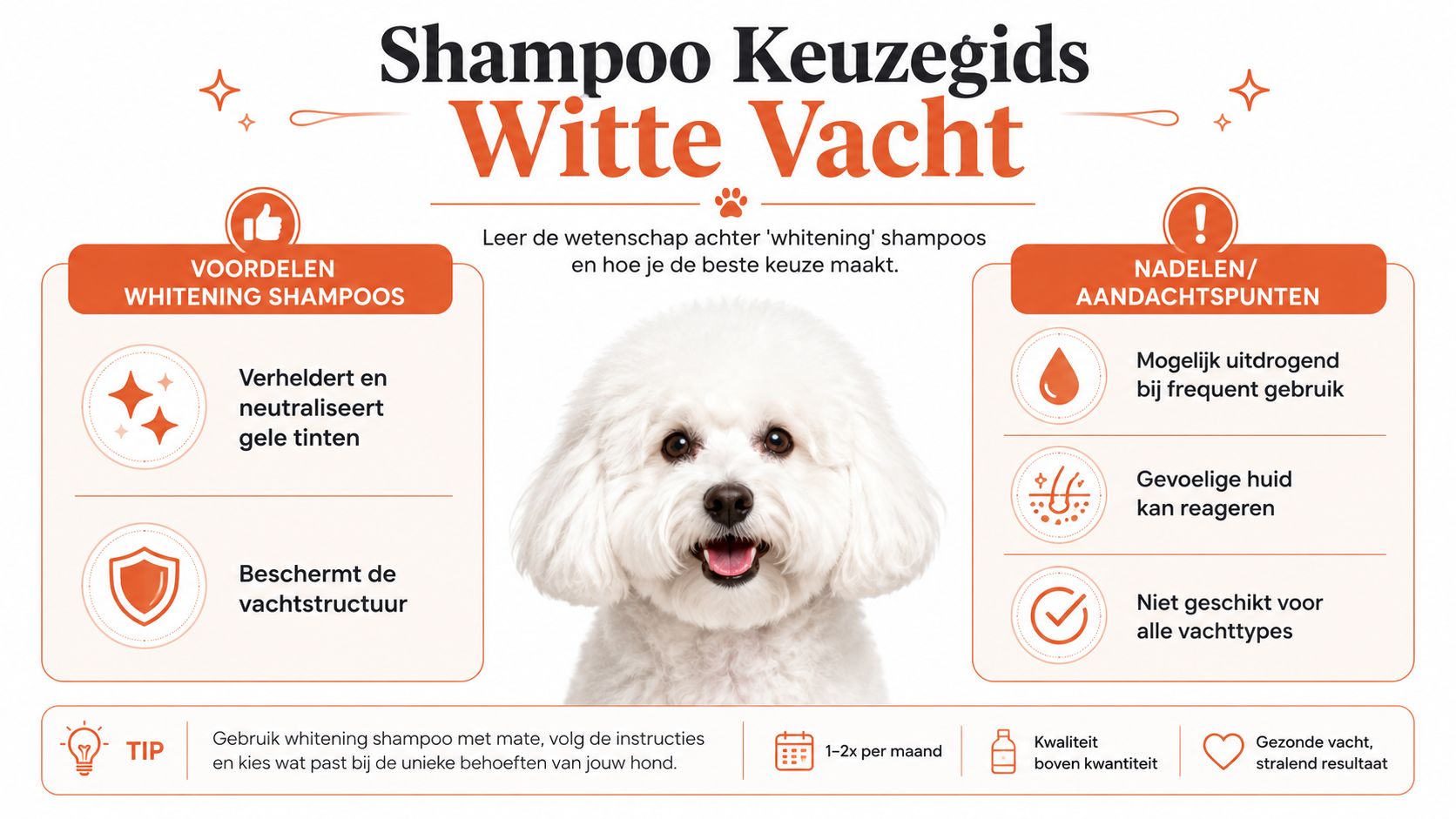 Een informatieve infographic over het gebruik van whitening shampoo voor honden met een witte vacht.
