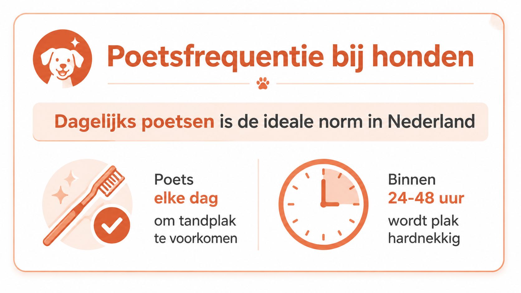 Een informatieve afbeelding over hoe vaak men de tanden van een hond moet poetsen voor een goede gebitsgezondheid.