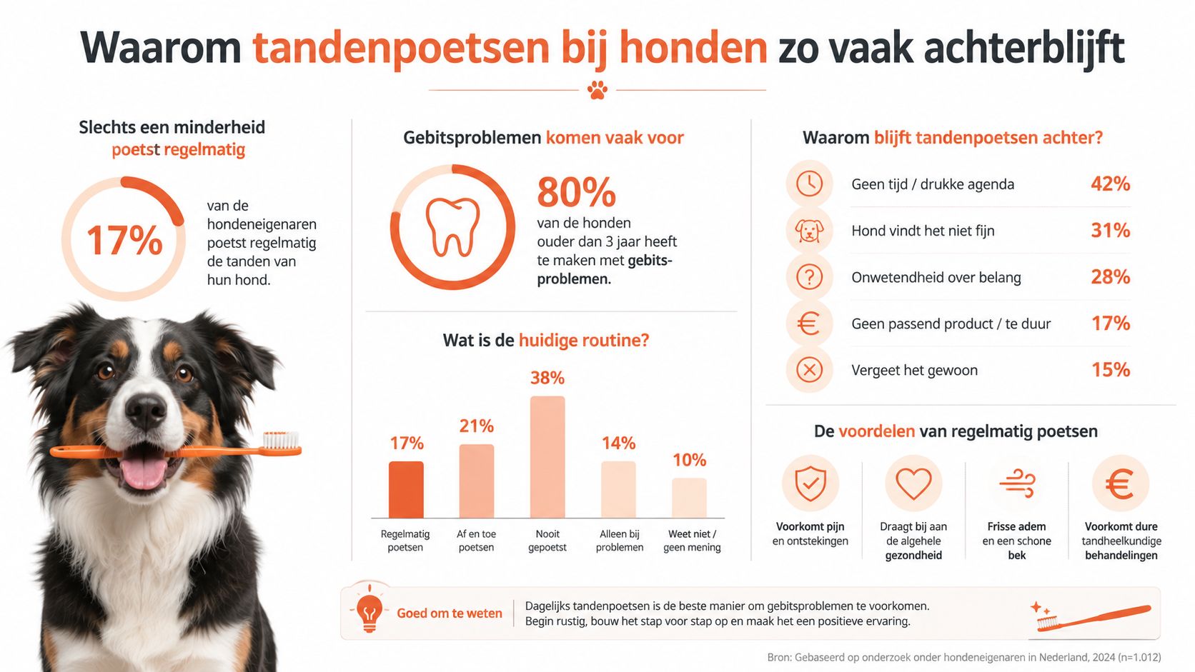 Een infographic over het belang van tandenpoetsen bij honden en waarom dit vaak wordt overgeslagen door eigenaren.