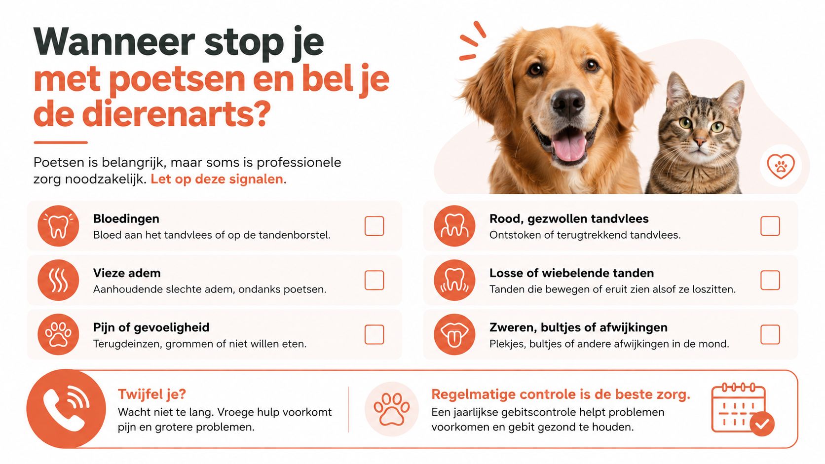 Een informatieve infographic in het Nederlands met waarschuwingssignalen voor tandproblemen bij honden en katten, inclusief advies voor de dierenarts.