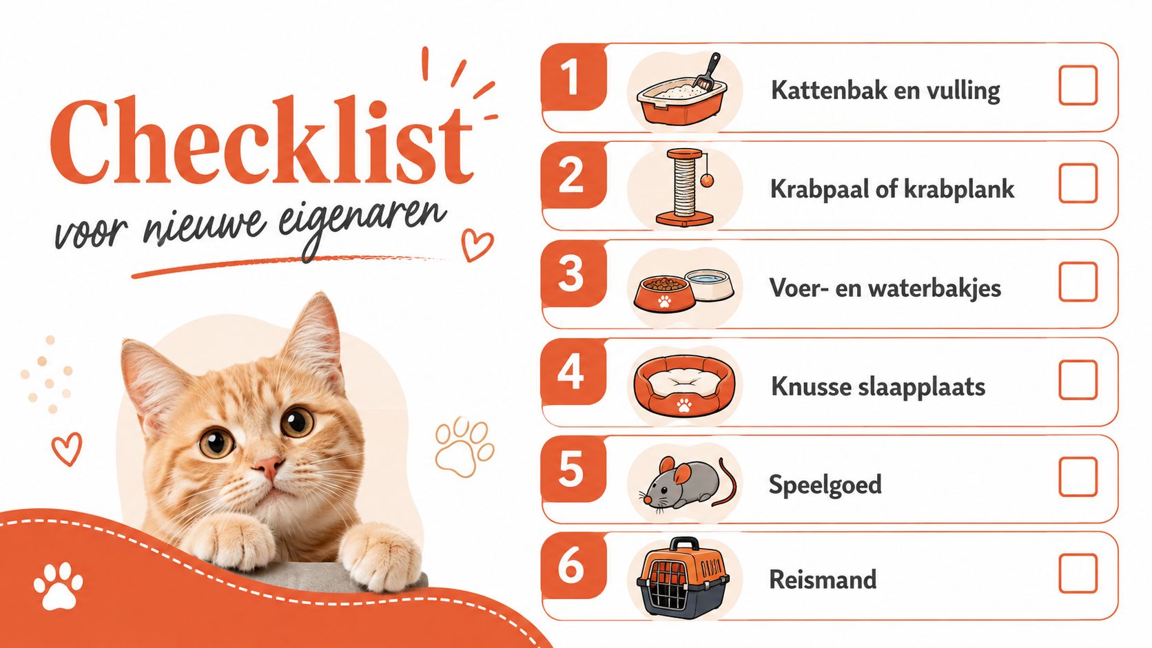 Een informatieve checklist voor nieuwe eigenaren van kittens met zes essentiële benodigdheden zoals een kattenbak en voerbakjes.