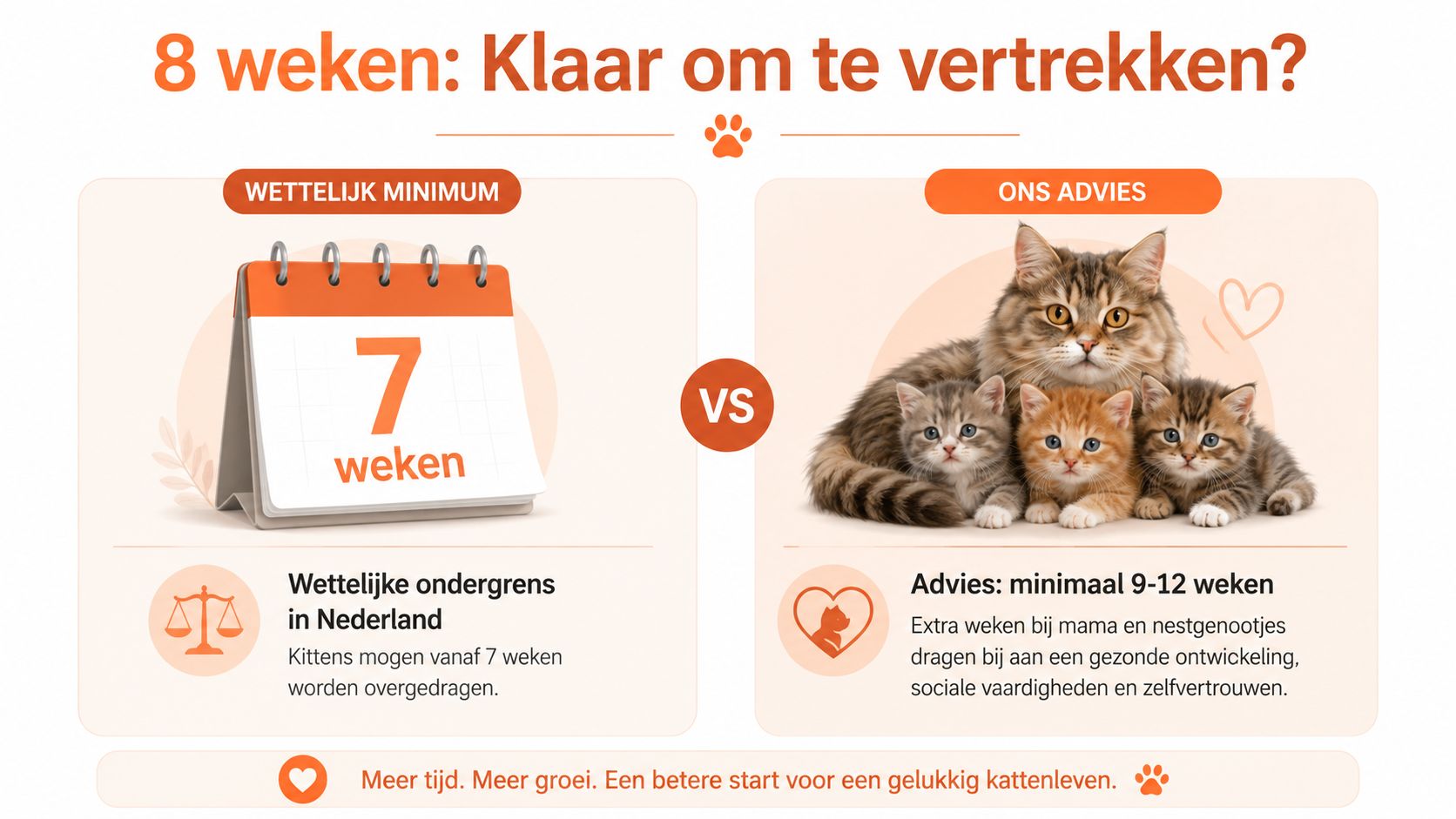 Een informatieve afbeelding over de ideale leeftijd voor kittens om het nest te verlaten in Nederland.