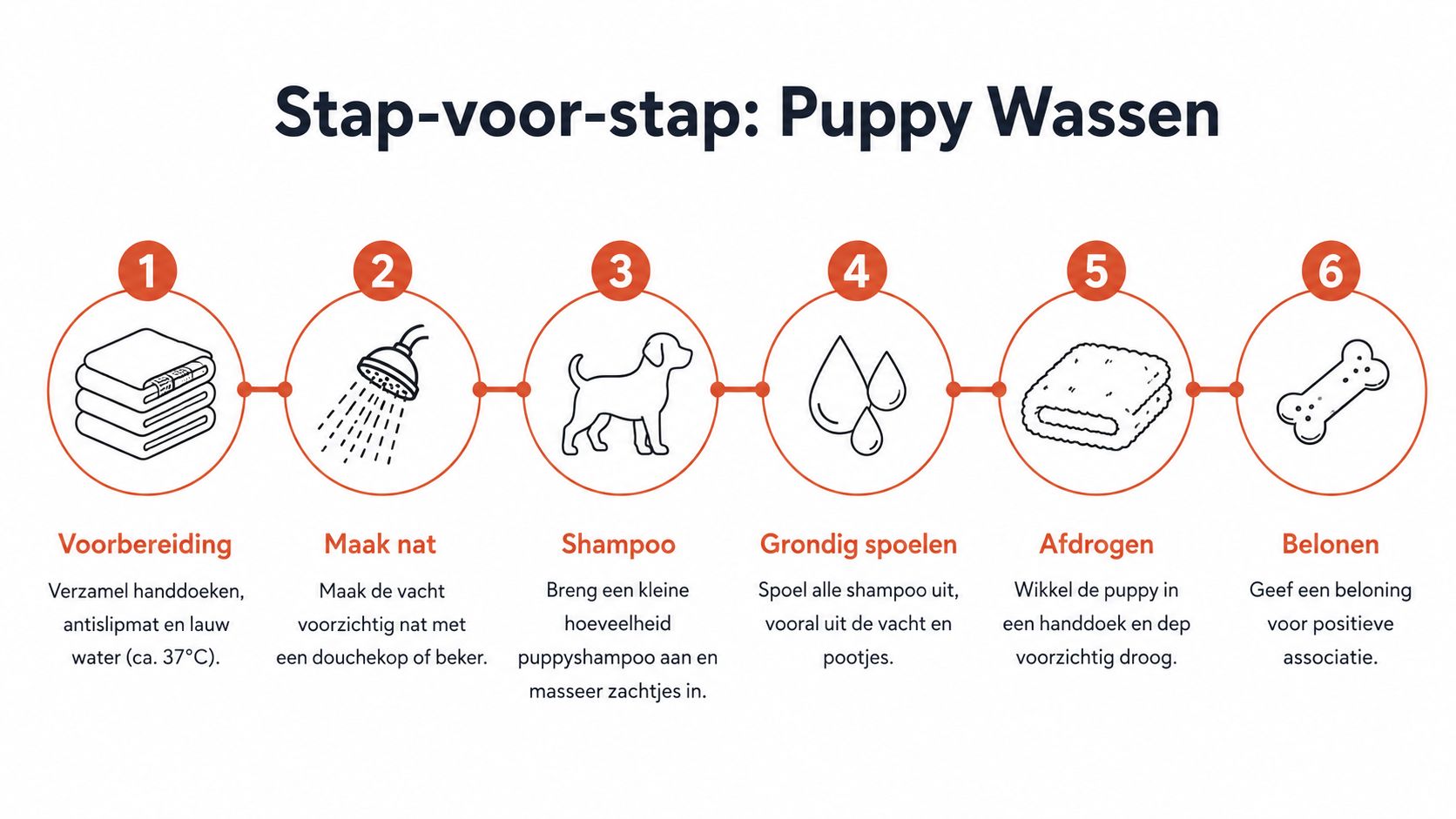 Een stappenplan voor het veilig wassen van een puppy met handige tips voor elk onderdeel.