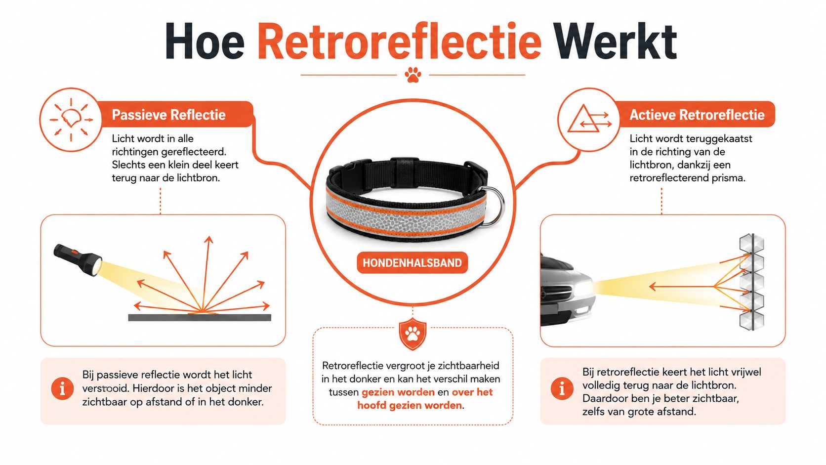 Een infographic die het verschil uitlegt tussen passieve reflectie en actieve retroreflectie voor een reflecterende hondenhalsband.